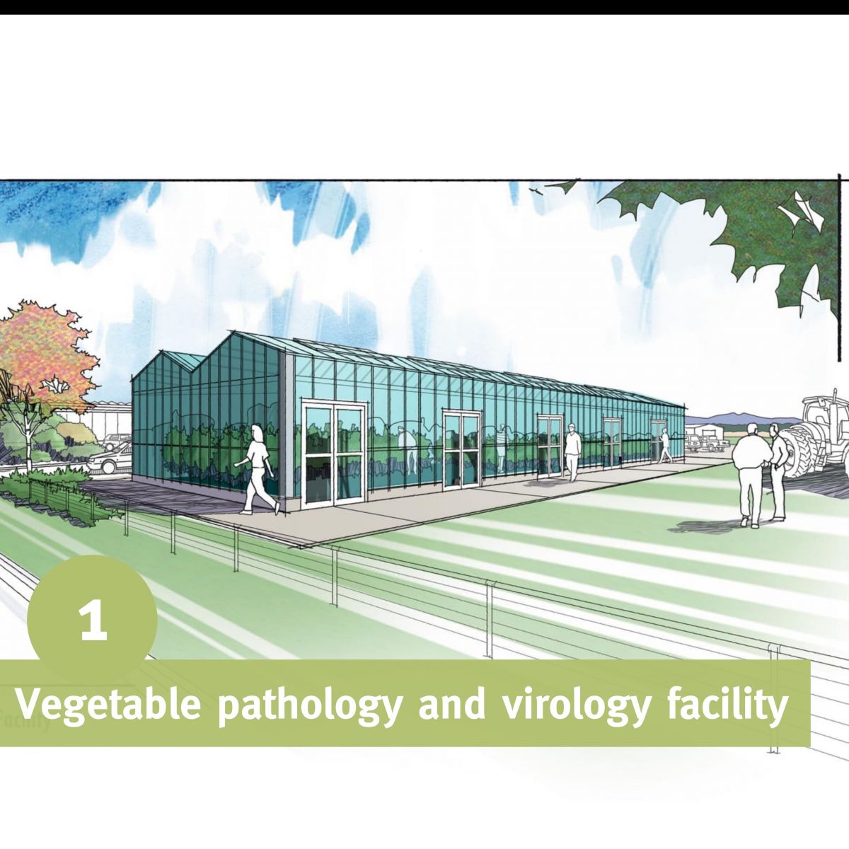 Vegetable pathology and virology facility