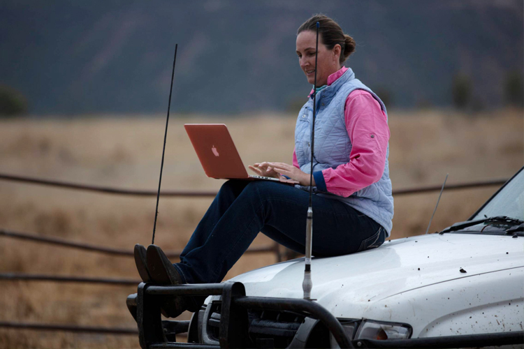 Woman using a laptop while sitting on a car bonnet in a paddock.