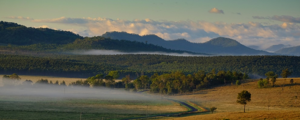View of mist over paddocks in foreground with forest and mountain range in background.