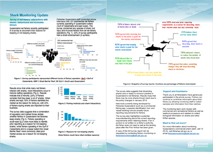 shark-monitoring-factsheet