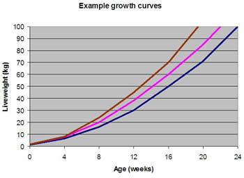 Example growth curves (weight for age) for three herds