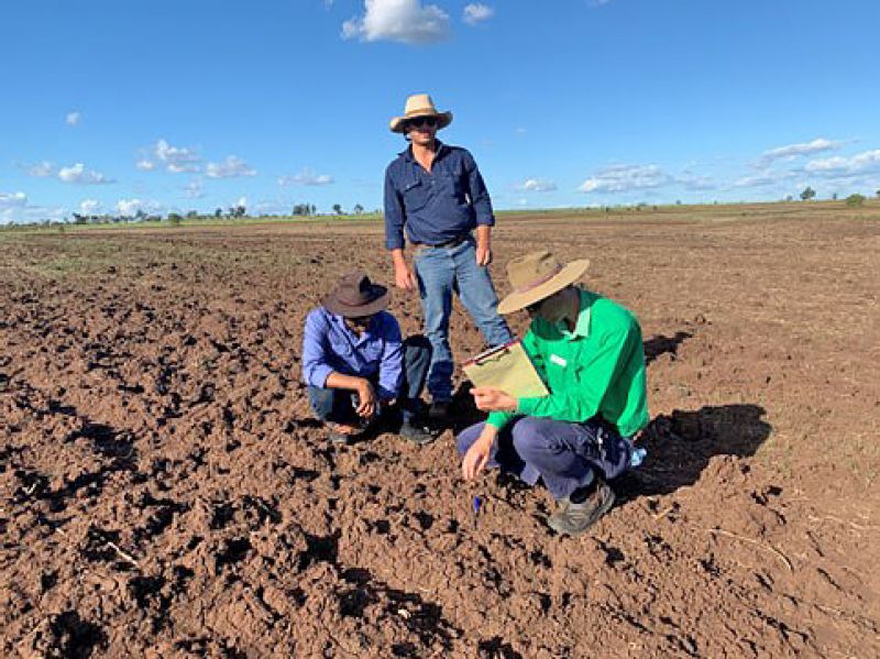 3 people in a paddock looking at soil