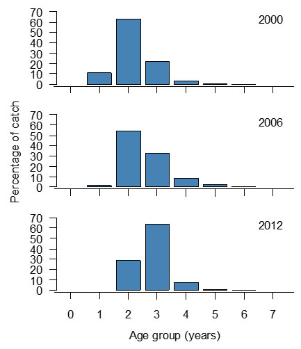 Three histogram graphs showing the age structure of tailor across different years