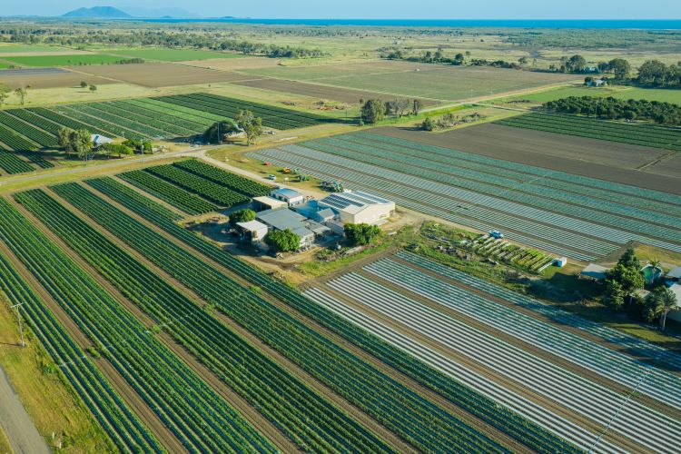 Aerial photograph of a farm showing paddocks, crops and buildings.