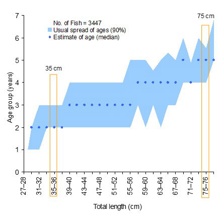 A graph showing the relationship between length of a fish and it’s age in years