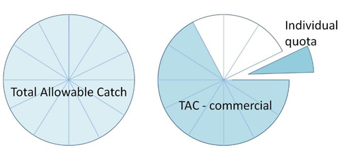 Pie charts showing quota units allocated from the total allowable commercial catch