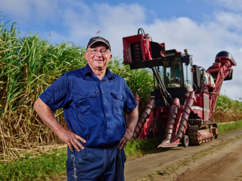 Man standing in front of sugarcane field with harvester in background.