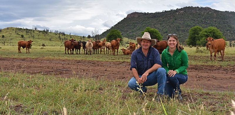 Man and woman kneeling in front of grazing cattle with mountain in background