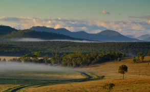 View of mist over paddocks in foreground with forest and mountain range in background.