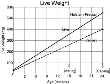 Dairy Heifer Weight Chart
