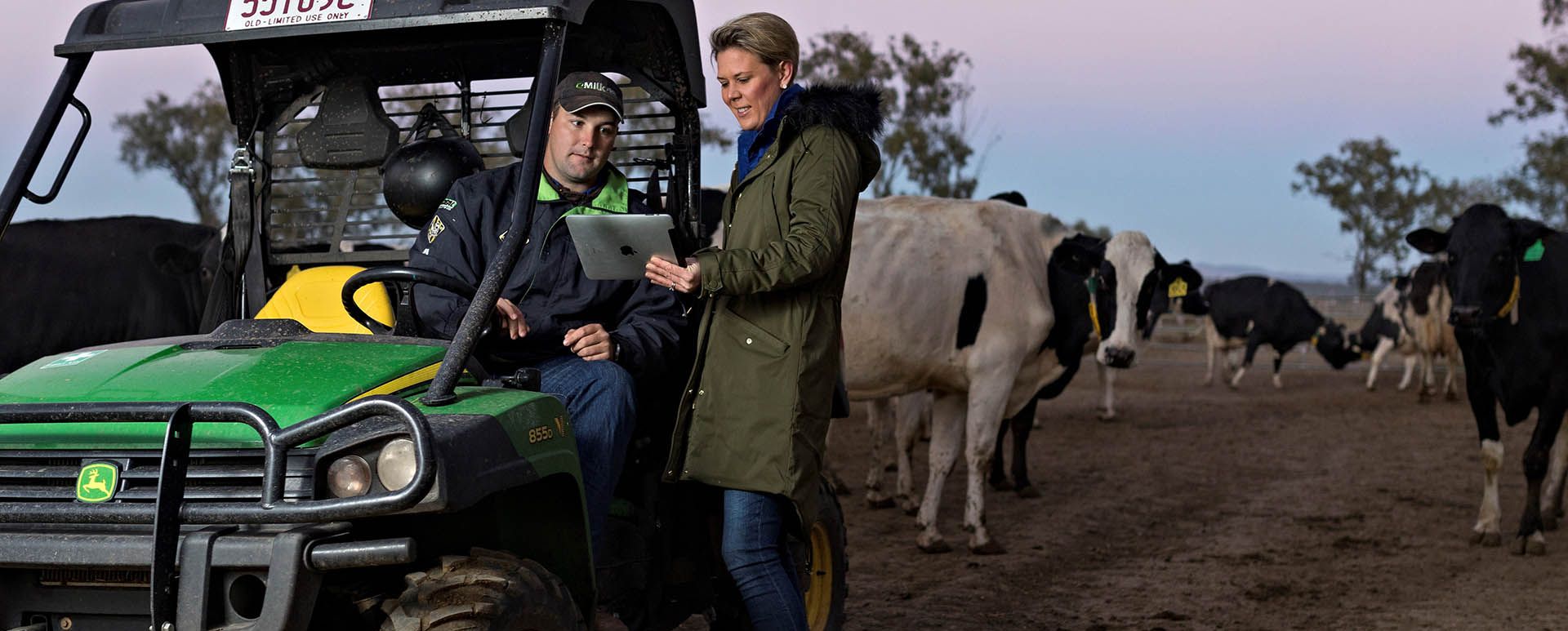 Man sitting in quad bike and woman standing next to him looking at tablet, with cattle standing in background.