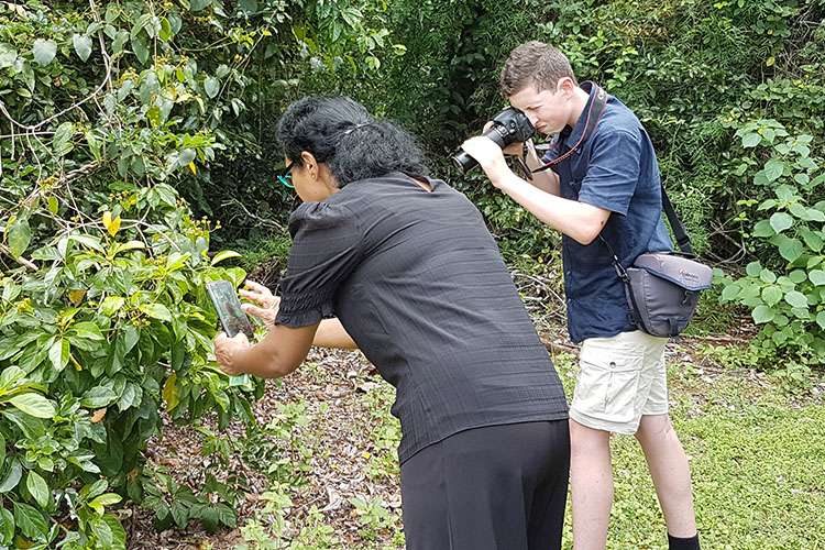 Person using mobile phone for close-up view of leaves and another person using traditional camera to photograph same leaves.