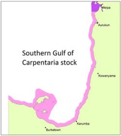 Sampling region for the Gulf of Carpentaria Barramundi stock which comprises estuarine areas from Mornington Island to Aurukun.