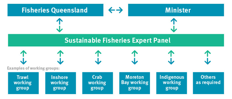  Figure 1: Consultation and engagement model under the Sustainable Fisheries Strategy.