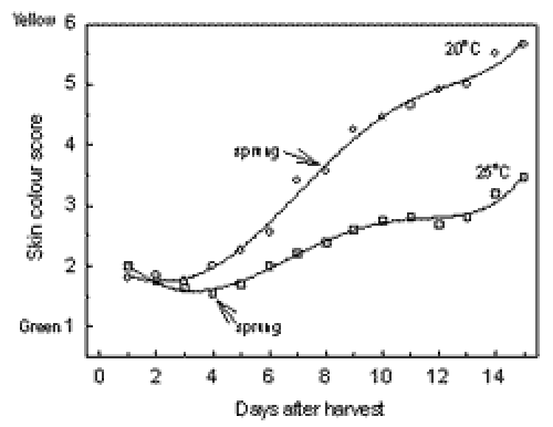 Chart showing results of research in the early 1980s showing that fruit that ripens at higher temperatures (above 22