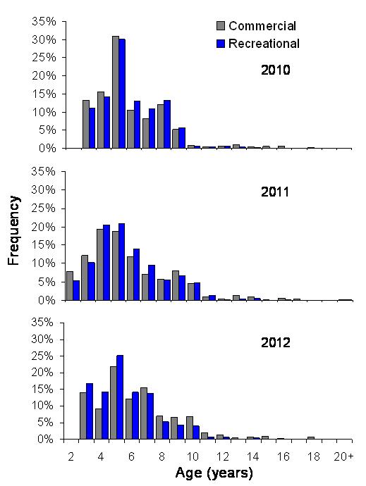 Age structure of the 2010 (top) 2011(middle) 2012 (bottom) commercial (grey) and recreational (blue) catch.